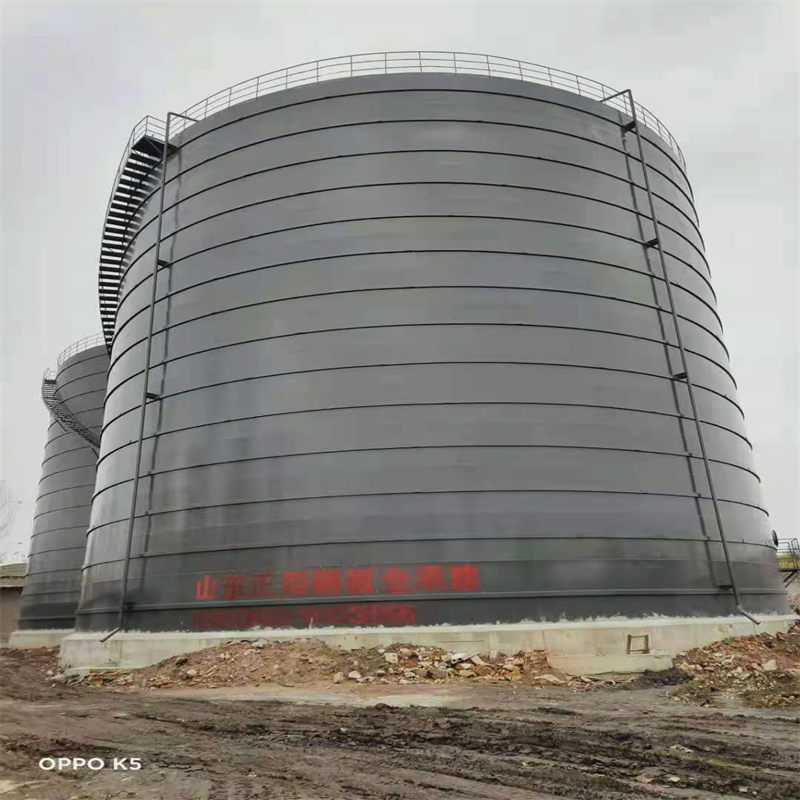 新村镇3万吨大型钢板库