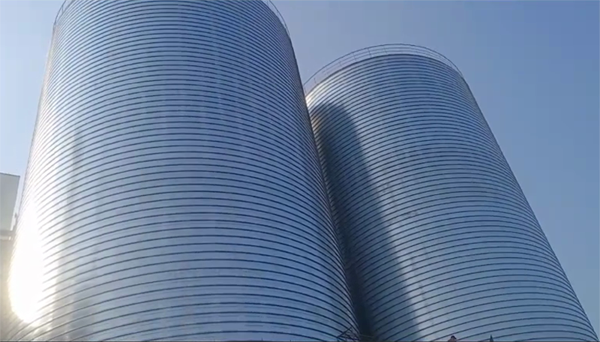 新村镇2座混凝土高架卷板仓